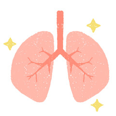 手描きのきれいな肺の断面