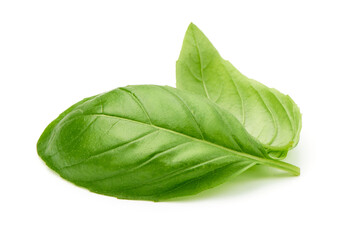 Organic Basil leaves, isolated on white background. High resolution image.