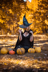 Mystical scene with witch in black hat and dress, cape, style for Halloween, ladies fashionable...