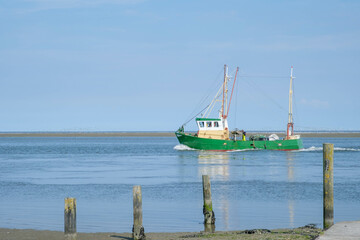 Fisheries on the Wadden Sea