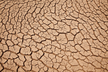 Drought land texture background. Global warming and greenhouse effect concept.