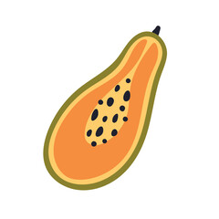 Papaya half. Cut piece, cross section of exotic tropical fruit. Pawpaw with flesh, pulp and black seeds. Healthy natural vitamin food. Flat vector illustration isolated on white background