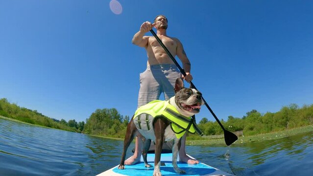 Dog Wearing Life Vest Standing on Paddleboard with Man Rowing