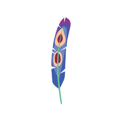 Colorful Feather