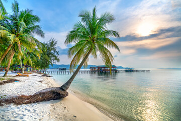 Tropical beach with palm on beautiful sandy beach in Phu Quoc island, Vietnam, sunset sky. This is...