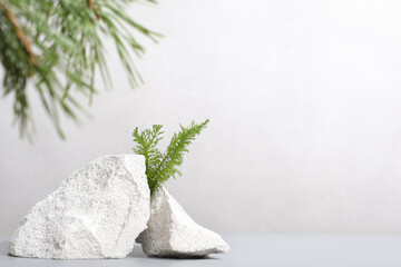 minimal stone podium for product presentation with pine branch and green grass. natural eco product display showcase.