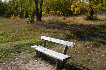 Place for rest. Bench or shop on the outskirts of a deciduous forest. Autumn. October. leaf fall