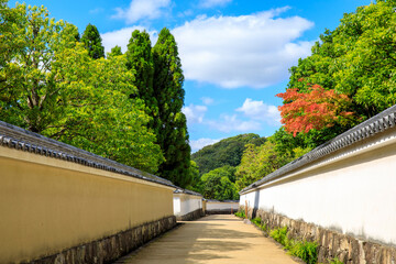 Fototapeta na wymiar 日本庭園の美しい風景