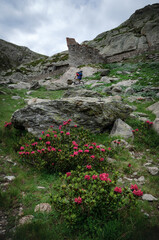 Ruins of the second world war italian military barracks and guardhouse near the pass of of San Bernolfo and Colle Lounge, hiking path between the french Alps and Piedmont (Italy)