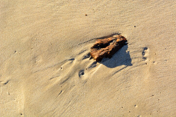 Drawing on the sand from the waves. Stone in the sand. Traces of the surf.