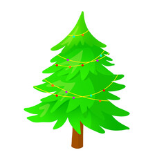 Spruce