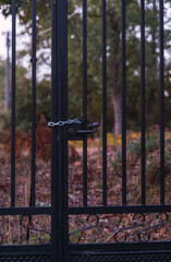 closed focus vintage black wrought iron fence