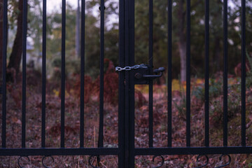 closed focus vintage black wrought iron fence