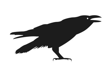 Bird, raven, vector, silhouette