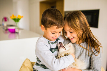 Brother and sister playing with little dog in living room