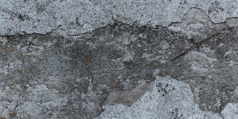 closeup of the surface of a rough dirty white and grey wall with old vine branches