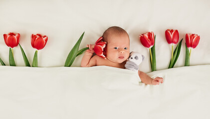 cute newborn baby with red tulips and teddy bear toy