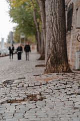quais de paris 