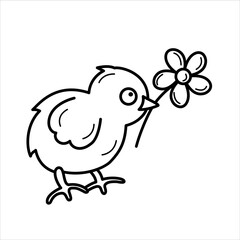 Isolated line vector illustration of a small chicken with a flower in its beak. Spring, summer, Easter theme. Suitable for web and mobile design, coloring books.