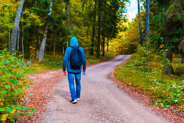 A young male hiking with a backpack.Man walks along the autumn forest path way.A healthy lifestyle in nature.Rear view.