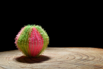 roug, pink and green washing machine detergent ball standing on a cut tree trunk