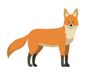 Orange fox icon. Forest animal. Nature and wild life. Education and development, training. Sticker for social networks and messengers. Poster or banner for website. Cartoon flat vector illustration