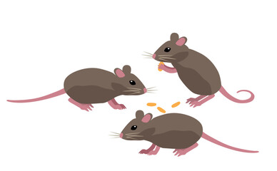 Three mice icon. Rats eat seeds, corn sticks or pieces of cheese. Mammal, small gray rodents. Wild life, fauna and nature, biology. Poster or banner for website. Cartoon flat vector illustration