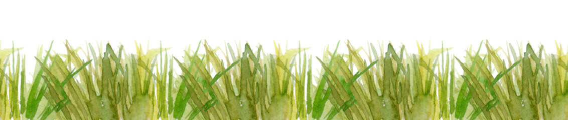 Fresh green grass - seamless pattern. Watercolor hand drawn painting illustration isolated on a white background.