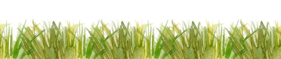 Naklejka premium Fresh green grass - seamless pattern. Watercolor hand drawn painting illustration isolated on a white background.