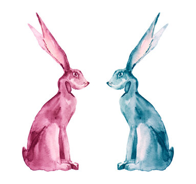 cute couple rabbits lovers watercolor painting hand drawn