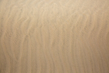 Fototapeta na wymiar Welliges Muster im Sand am Strand 