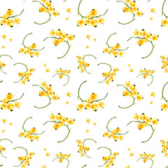 Pattern Yellow currant Watercolor seamless hand-drawn illustration isolated on a white background