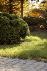 Beautiful autumn landscape of a small garden  