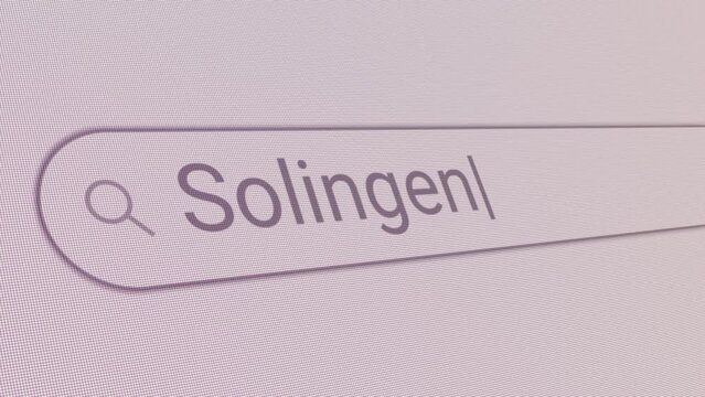 Search Bar Solingen 
Close Up Single Line Typing Text Box Layout Web Database Browser Engine Concept
