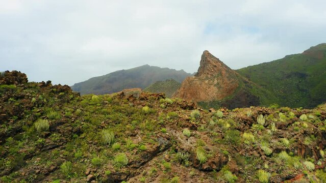 Picturesque landscape. Blue sky. Ridges of rocks rise above the green cactus vegetation in spring. Mountain Risco Blanco. Go everywhere. Tenerife, Canaries, Spain. Top of cliffs in mist, foggy weather
