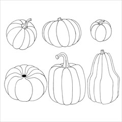Pumpkin outline EPS for product design