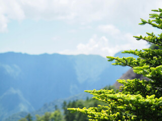 西日本一の石鎚山へと続く天空の道　UFOラインと呼ばれる愛媛県と高知県にまたがる四国の美しい尾根