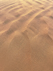 Close up of a natural pattern on a dune sand