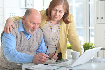 Obraz premium Portrait of senior couple using laptop in the office