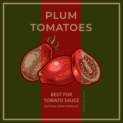 Plum tomatoes ( oval, plum-shape type of tomatoes ). Label template with hand drawn vector illustration in vintage engraving style.