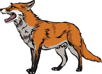 Fox, color. vector image of a fox, vector illustration for use in logos, signs, trademarks, for design and advertising