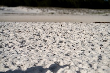 tourist walking on whitehaven beach in queensland. 