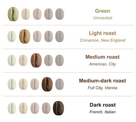 A collage of coffee beans showing various stages of roasting