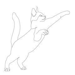 Continuous one line drawing of cat silhouette. Playful cat standing on two legs trying to reach for something in abstract hand drawn style. Simple and minimalist animal doodle vector illustration art.