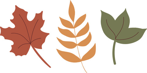 Obraz premium Hand drawn vector autumn leaves set. Simle tree elements in autumn colors.