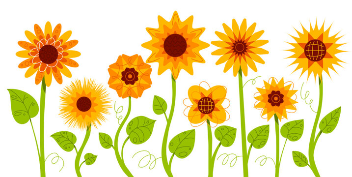 Sunflowers stems and leaves. Decorative garden flowers, whole plants and yellow petals, autumn harvest, organic product, funny sunny plants, botanical swanky vector cartoon flat style set