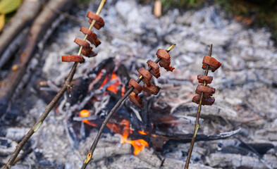 Detail view with bacon and meat roasting over the fire. Cooking by the fire. Food cooked on the embers, in the campsite, at the edge of the forest in the autumn landscape.