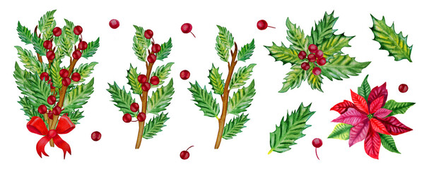 Holly twigs and red poinsettia watercolor clipart set. Hand drawn elements for Christmas invitation and greeting cards. New Year's green plants and red berries. - obrazy, fototapety, plakaty