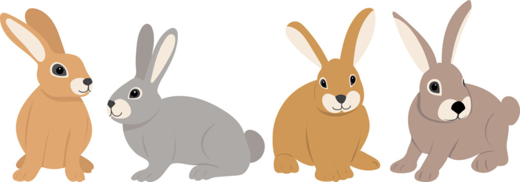 cute rabbits on white background, isolated vector