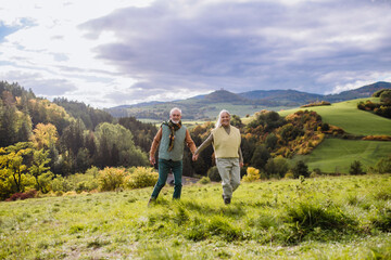 Fototapeta na wymiar Happy senior couple walking in autumn meadow.